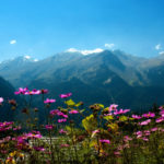 Manali
