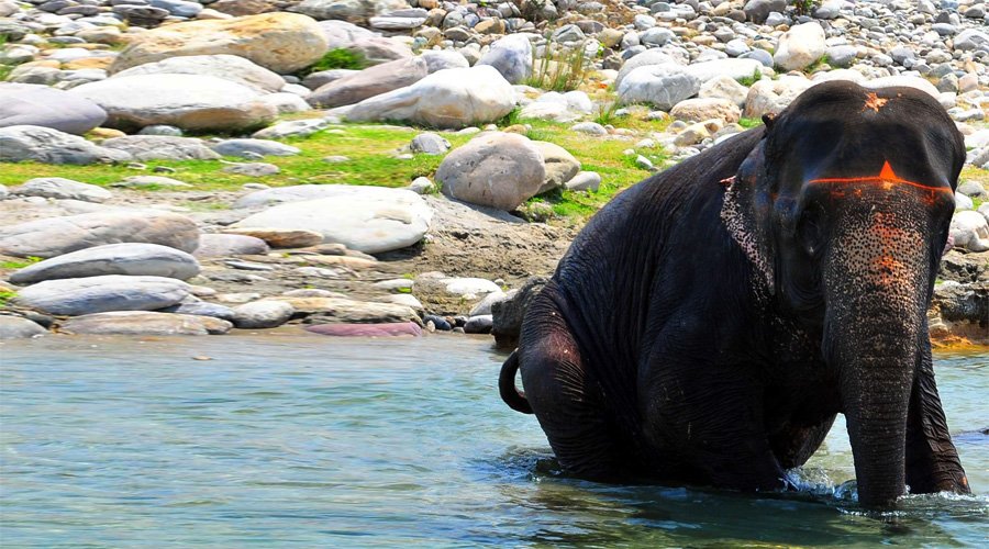 Jim Corbett