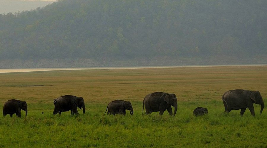 Jim Corbett