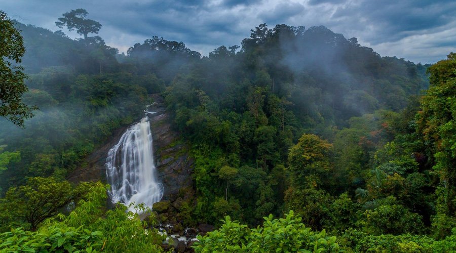 Attukad Waterfall, Attukal Waterfalls, Idukki, Munnar, Kerala