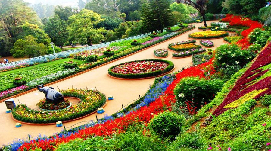 Botanical Gardens, Ooty, Tamil Nadu