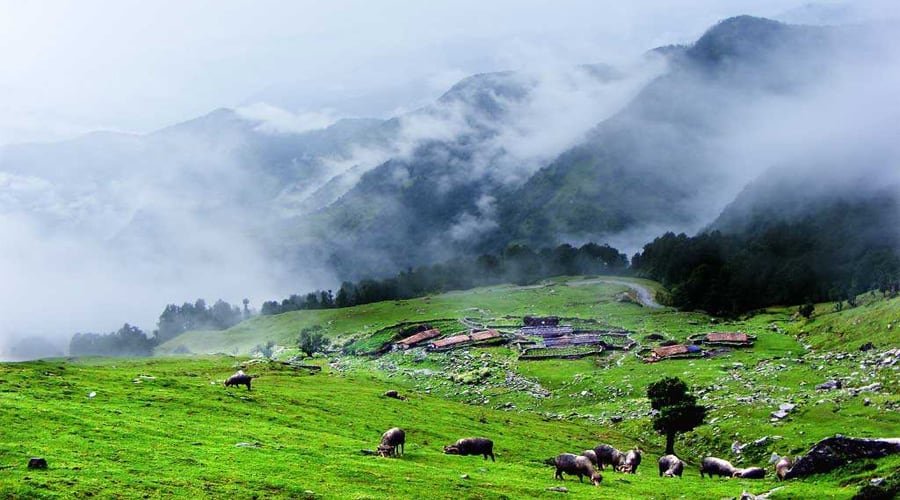 Chopta Valley, Lachen, Gangtok