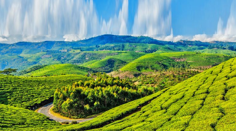 Ooty Tour Package 2 Nights 3 Days With Coonoor