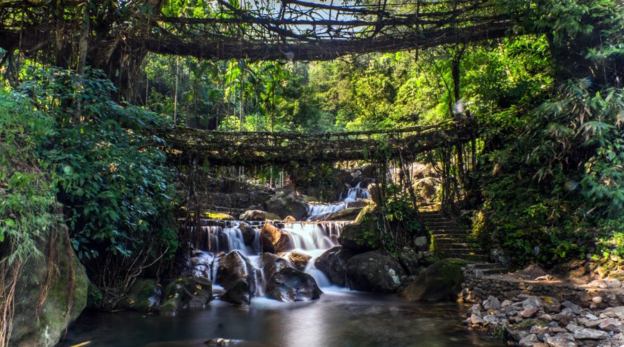 Living Root Bridges, Cherrapunji, Meghalaya