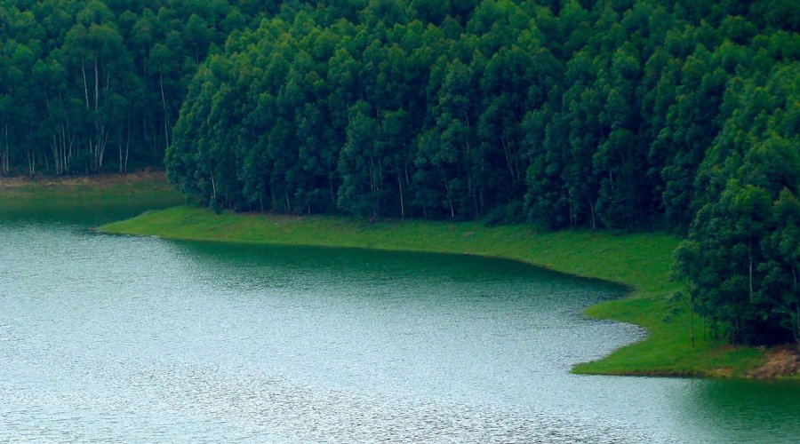 Munnar, Kerala