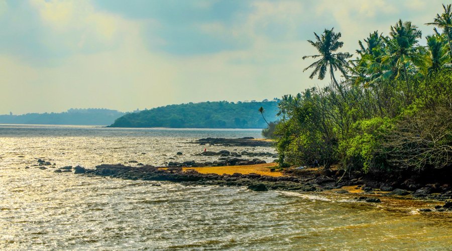 Bambolim Beach, Panjim, North Goa, Goa, India