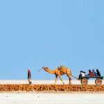 Kutch, Bhuj, Gujarat, India
