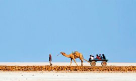 Kutch, Bhuj, Gujarat, India