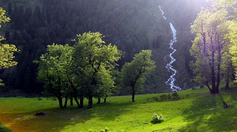 Baisaran Valley, Pahalgam, Jammu and Kashmir, India