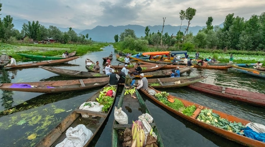 Dal Lake, Srinagar, Jammu and Kashmir, India