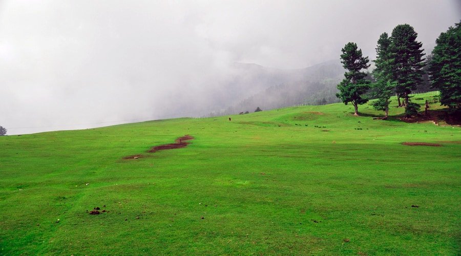 Patnitop, Udhampur, Jammu and Kashmir, India