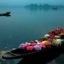 Shikara Ride, Dal Lake, Srinagar, Jammu and Kashmir, India