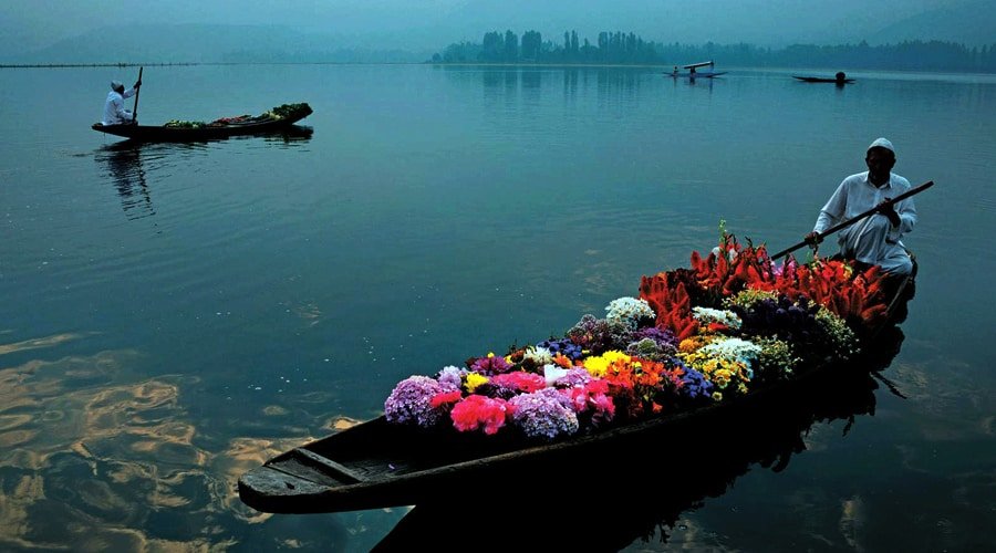 Shikara Ride, Dal Lake, Srinagar, Jammu and Kashmir, India