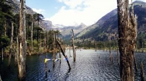 Sangestar Tso Lake (Madhuri Lake), Bum La Pass, Tawang, Arunachal Pradesh, India