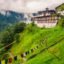 Chagri Dorjeden Monastery (Cheri Monastery), Thimphu, Bhutan, Aisa