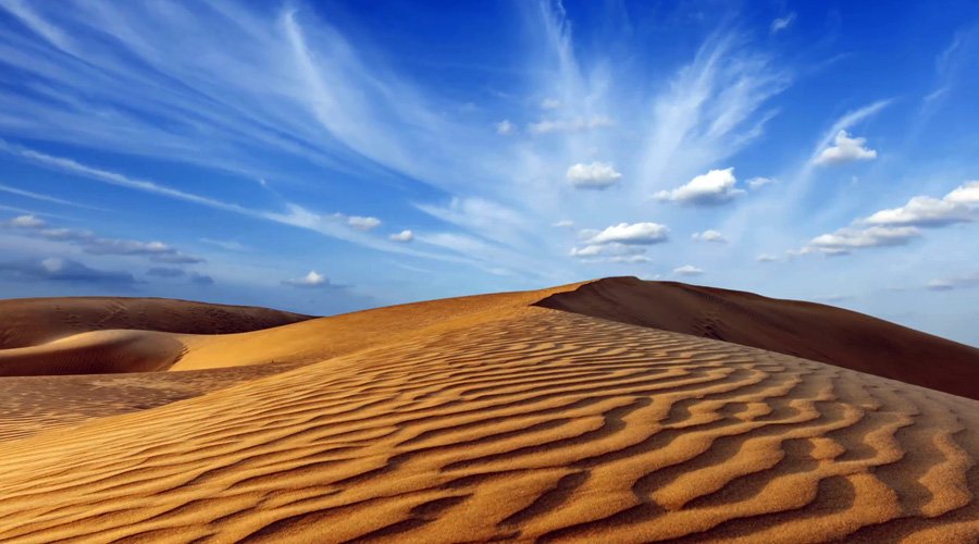 Thar Desert, Jaisalmer, Rajasthan, India