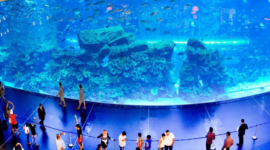 Dubai Aquarium & Underwater Zoo, Dubai Mall, Dubai, United Arab Emirates, Middle East