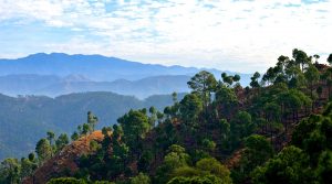 Kasauli, Himachal Pradesh, India