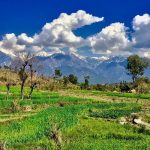 Palampur, Himachal Pradesh, India