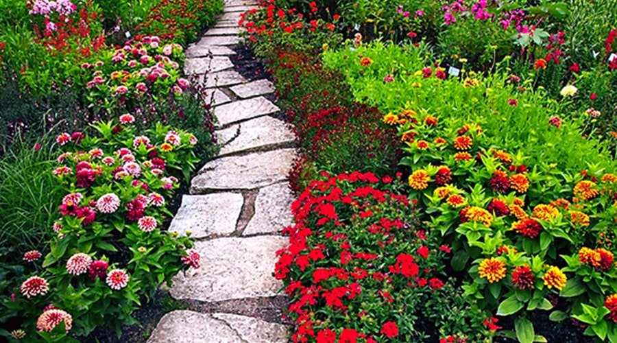 Hakgala Botanical Gardens, Hakgala, Sri Lanka, Asia