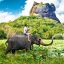 Sigiriya or Sinhagiri Rock, Sigiriya, Sri Lanka, Asia