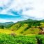 Nuwara Eliya, Sri Lanka, Asia