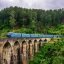 Train @ Nuwara Eliya, Sri Lanka, Asia