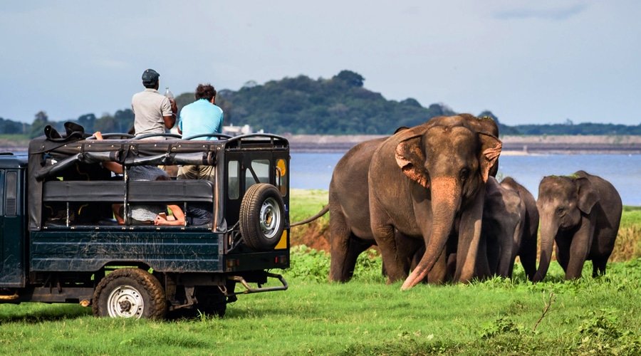 Yala National Park, Katagamuwa, Yala, Sri Lanka, Asia