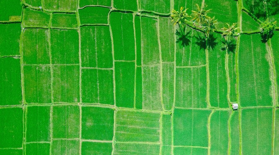 Jatiluwih Rice Terrace, Bali, Indonesia, Asia